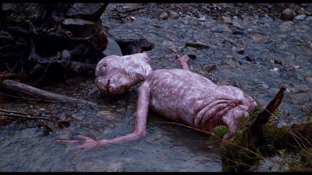 the uncooked ground beef i forgot about in the back of my fridge