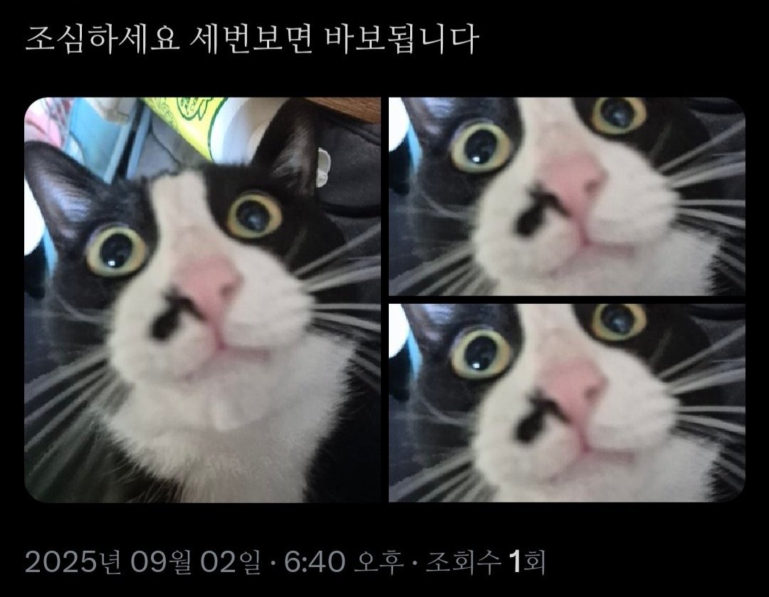 튤립씨 (@pliy_mi) on Twitter photo 