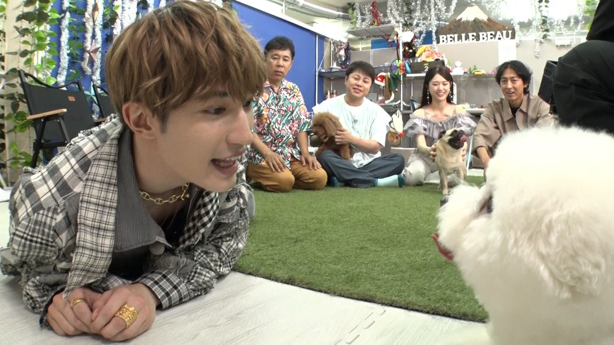 ちゃんや (@chanya1840) / X