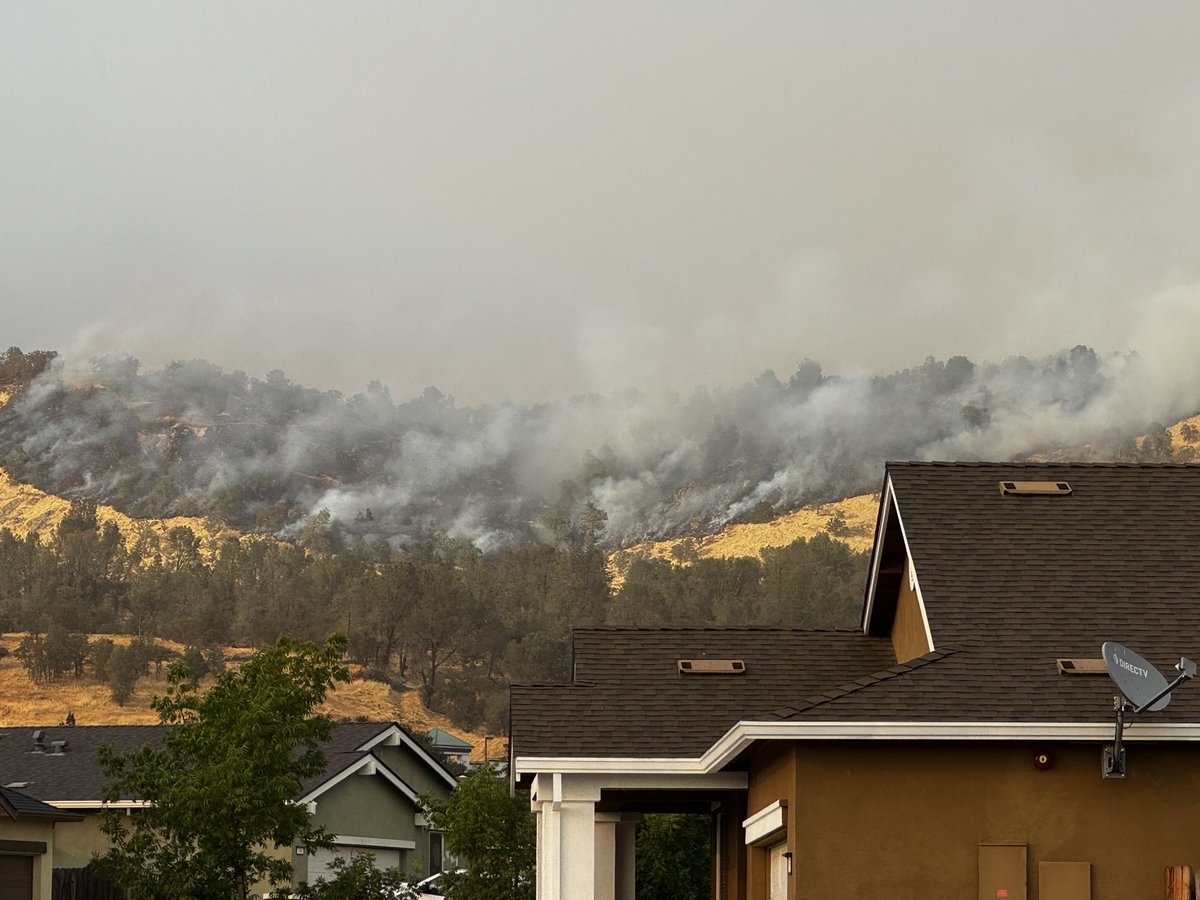 Steven Sarkhosh tweet media