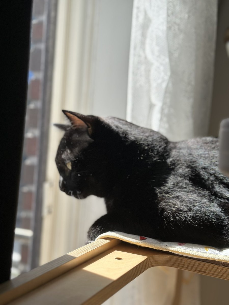 오랜만에 집에서 느긋하게 수리랑 햇빛샤워~~