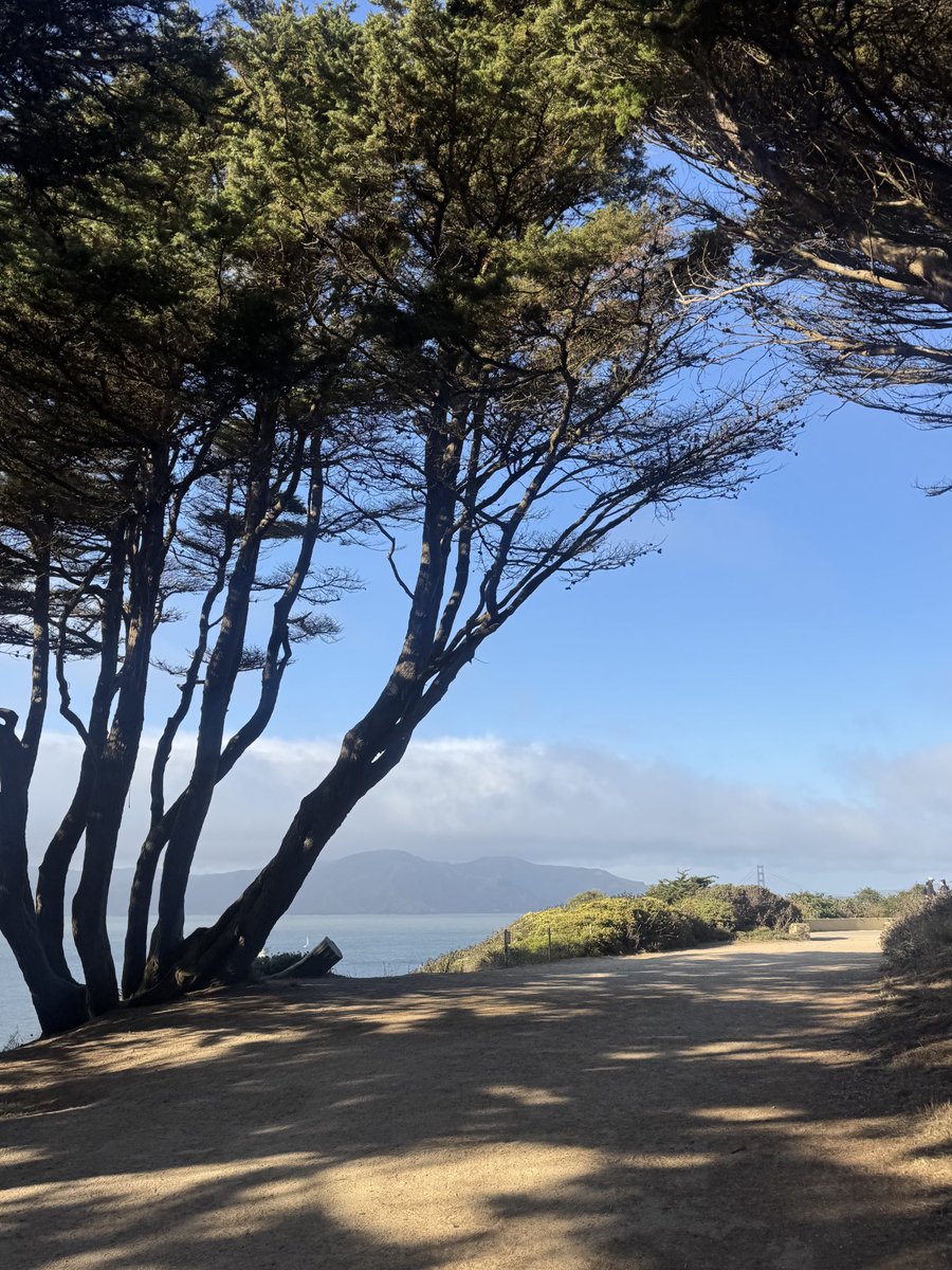 40 mins waymo for a 20 min run