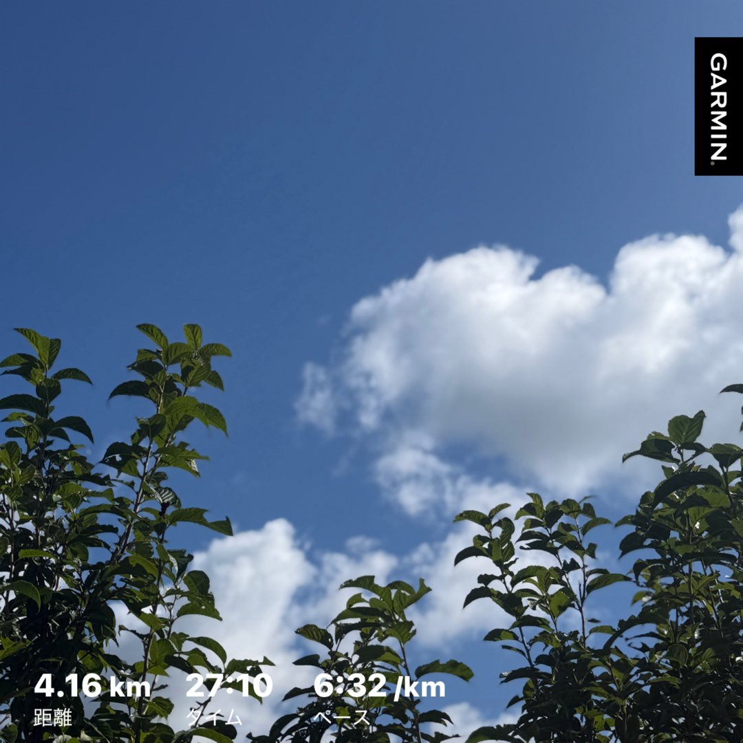 ・栗の木に緑のイガイガ
・川は水が多くて流れも速い
・日陰でHP回復！という感じは薄れてきた
・稲穂🌾いいぞ