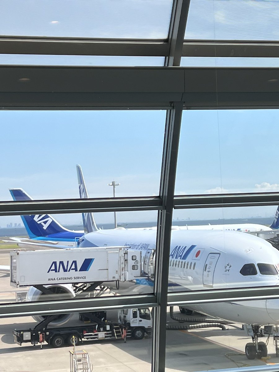 TITO_coc's tweet photo. ✈️ https://t.co/NJT8uGq1oc