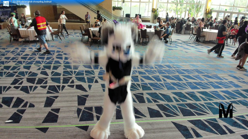 eight 🔜 FWA, AC, Mega tweet media