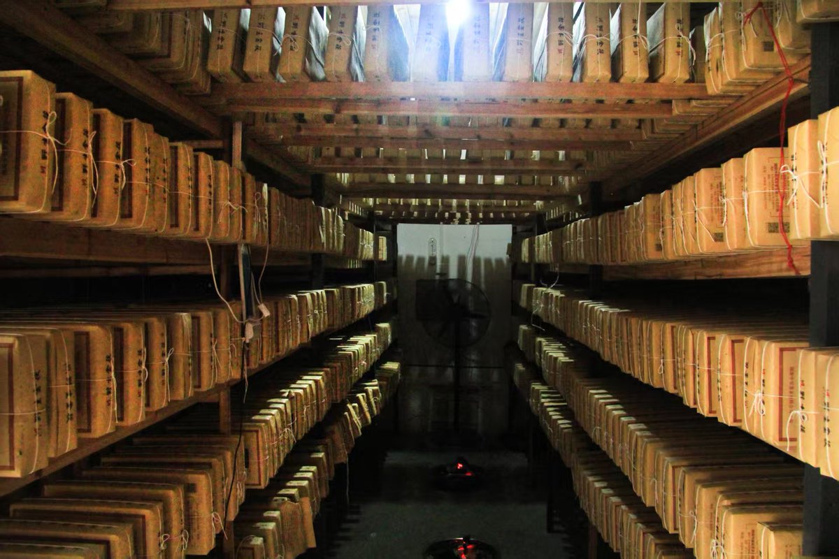 TeaVivre's tweet photo. This is your Drying Room for Jin Hua Dark Tea 📷📷
#tea #teastorage #storage #dryingroom #darktea #teavivre #teatime #teatips #tealovers #teafriends https://t.co/gaG5YJBdhe