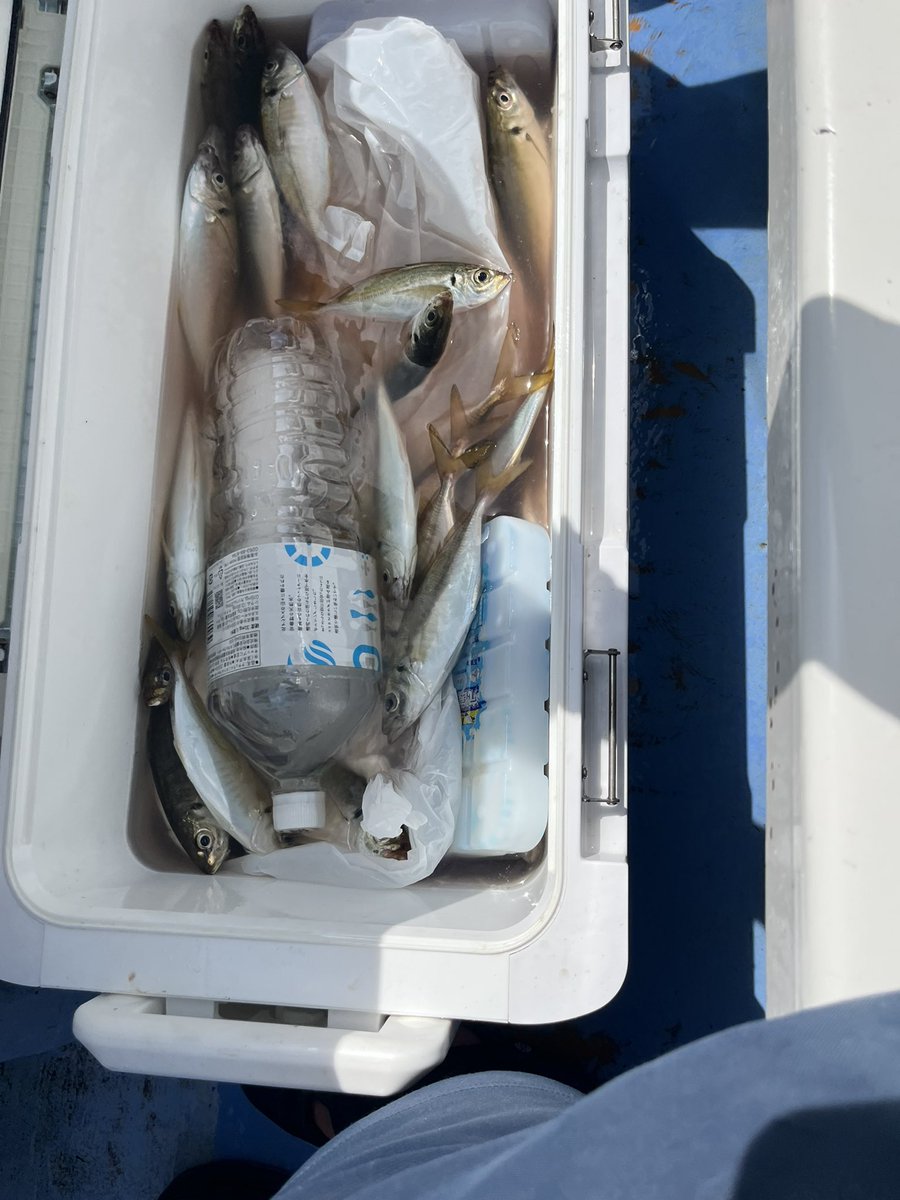 釣れる釣りはいいぞー