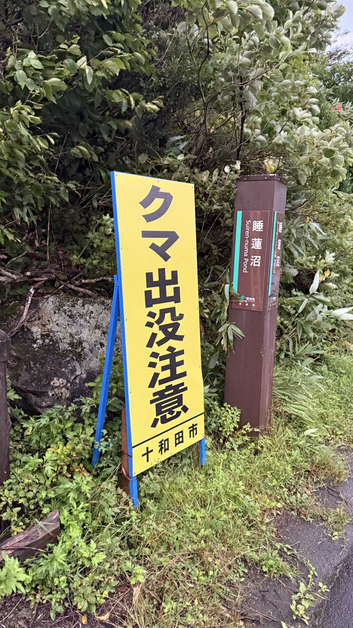 ⌘MIYAJIMA⌘ (@aomori1983) / X