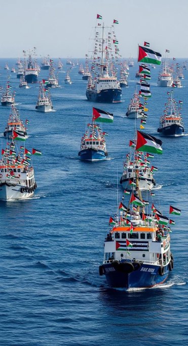 Numerous ships sailing on the sea, adorned with Palestinian flags and other international flags. The vessels vary in size, with some larger boats prominently displaying multiple flags. The water is calm and blue, extending to the horizon under a clear sky.