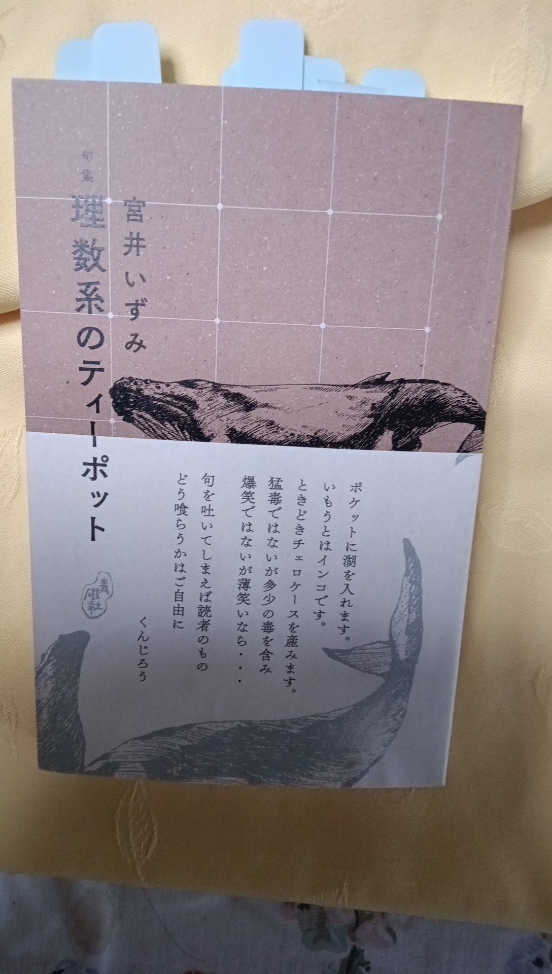 海馬(umiuma) (@umiumasenryu) / X