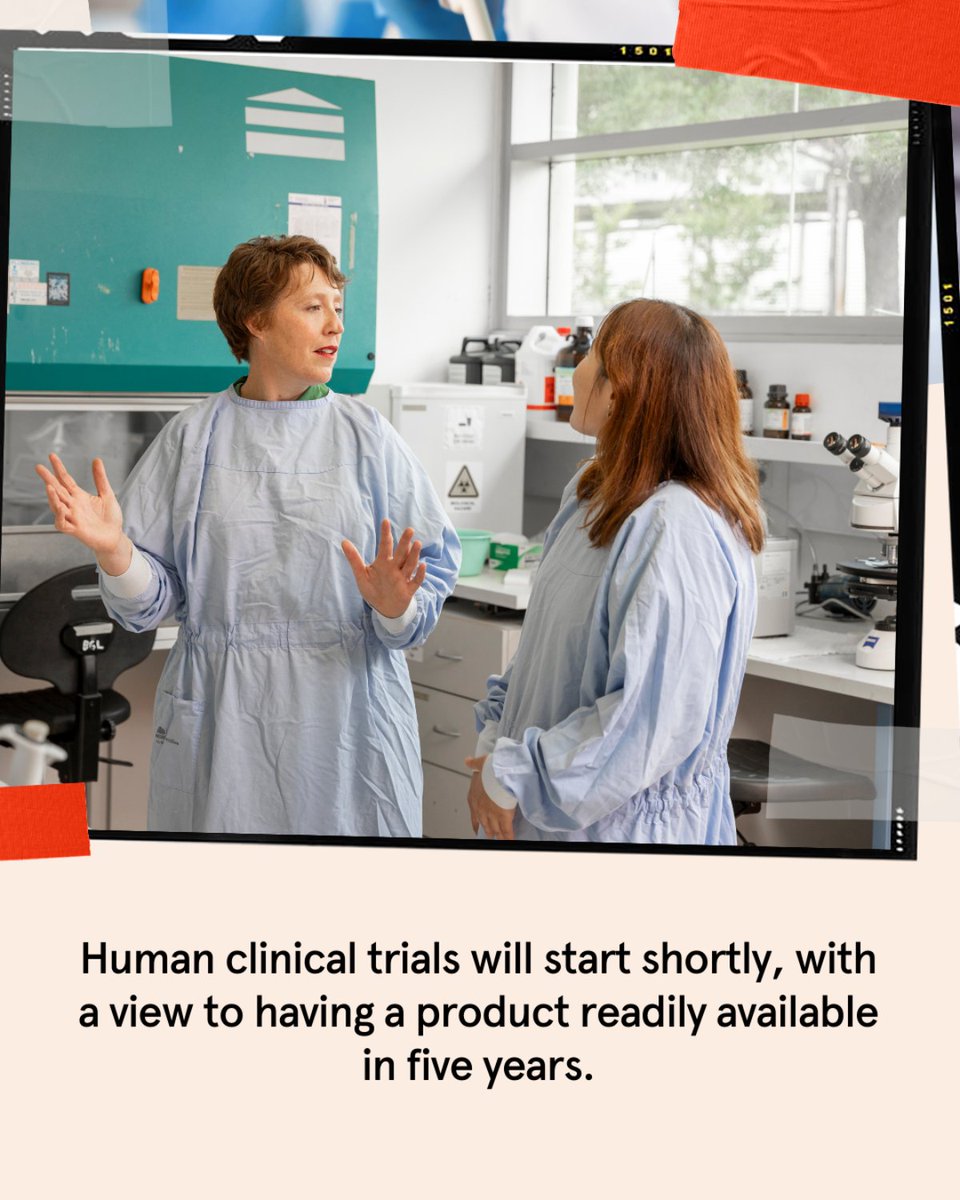 syd_health's tweet photo. Professor Victoria Cogger and her colleagues at Endo Axiom are developing an oral insulin therapy using nanotechnology, creating a safer, more accessible, and scalable diabetes treatment.

Learn more about her work: https://t.co/s6su1bE5Se

#USYD #ResearchImpact https://t.co/cUZO4txYhK