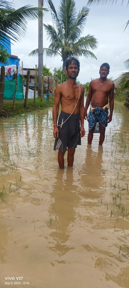 ସରକାର ଙ୍କ ତରଫରୁ ବିସ୍ଥାପିତ କରାଯାଇଛି 
ଘଟଣା ଟି ହେଉଛି କେନ୍ଦ୍ରାପଡ଼ା ଜିଲ୍ଲା ରାଜନଗର ବ୍ଲକ ସାତଭାୟା ପଂଚାୟତ ର 
<a href="/CMO_Odisha/">CMO Odisha</a>
<a href="/MohanMOdisha/">Mohan Charan Majhi</a> 
<a href="/PMOIndia/">PMO India</a> 
<a href="/rdmodisha/">Revenue & DM Department, Government of Odisha</a> 
<a href="/public/">Public</a>