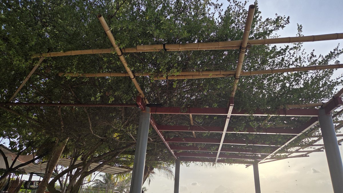 “Your heart is a polished mirror. You must wipe it clean of the veil of dust which has gathered upon it, because it is destined to reflect the light of divine secrets.”
#zah786