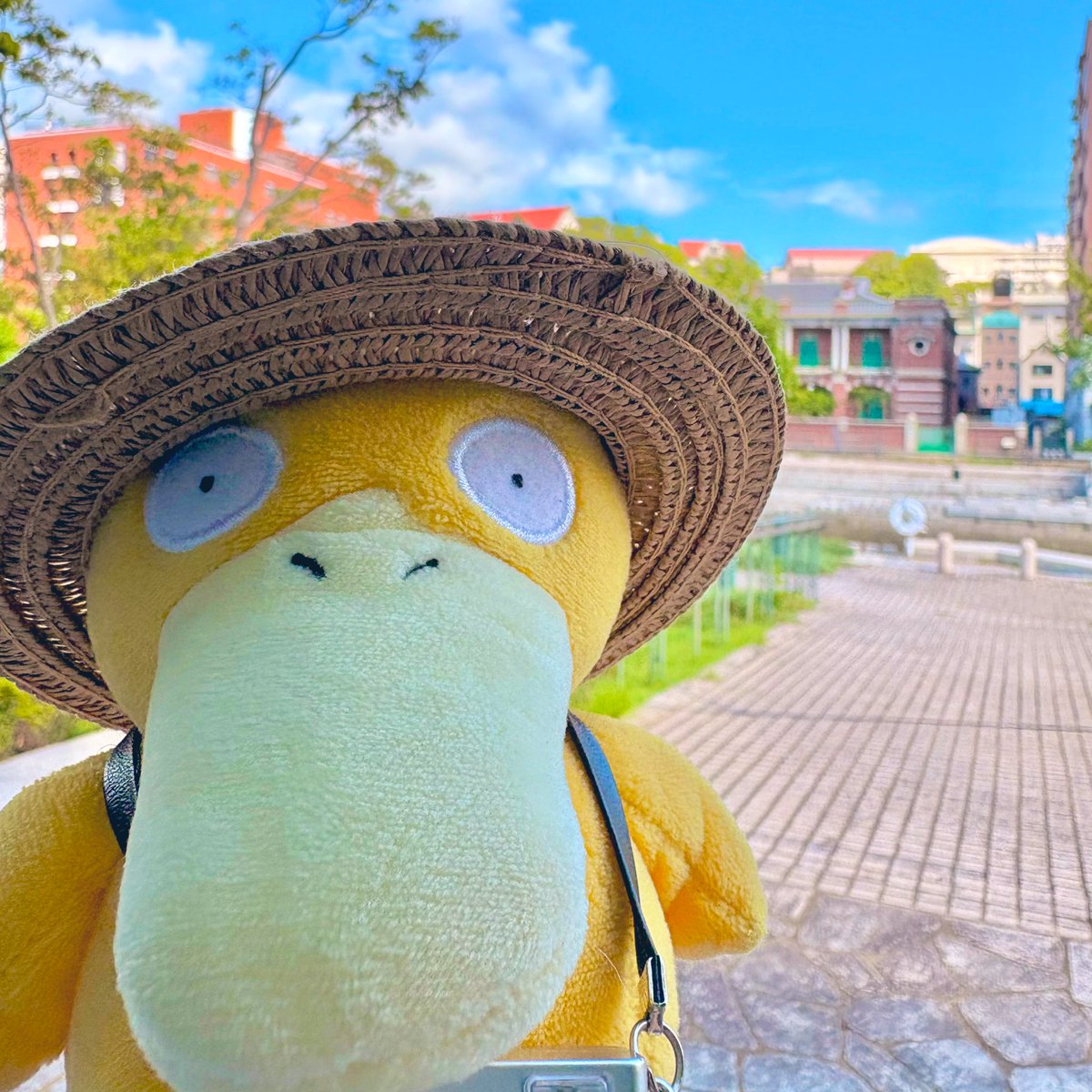 長崎市街、街並みオシャレで素敵☺️✨