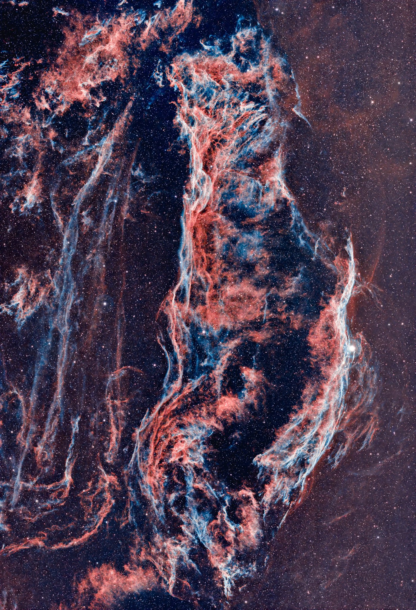 onecolor3000 on X: 