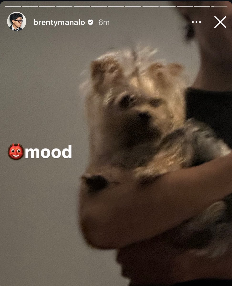 jellyzens's tweet image. brent and lola????? huhhhh

WED MADE IT MIKBRENT
