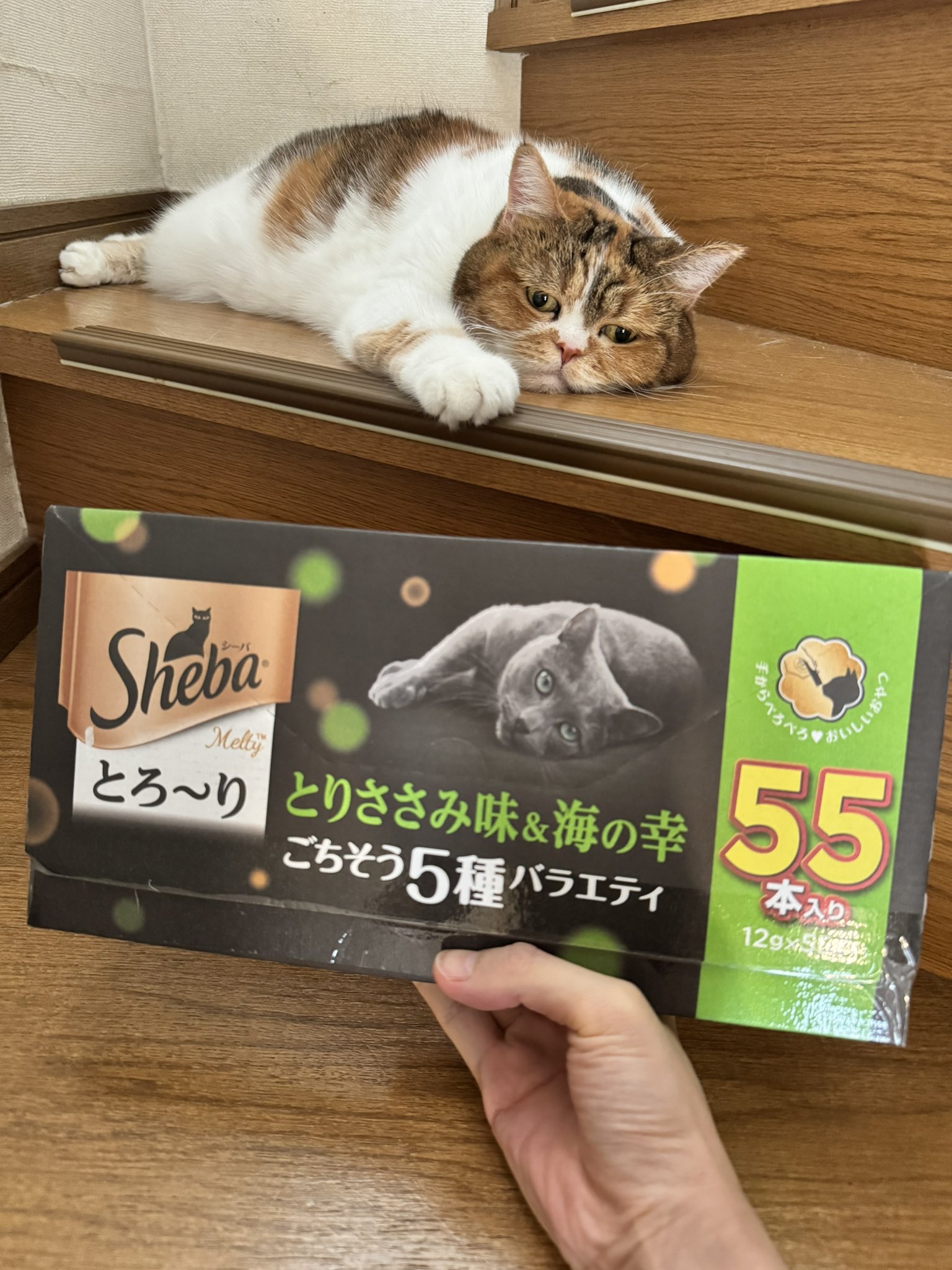 さんちゃんページ 楽天市場】【いつくし公式】体動センサ IMS-01 医療機器 izxi い