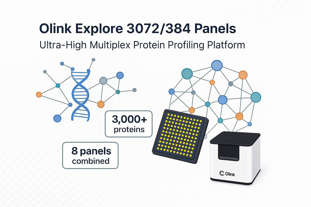 CDProteomics's tweet image. Unlock ultra-high multiplex protein profiling with Olink Explore 3072/384 panels! Profile 3,000+ proteins in one run or focus on 384-protein panels for targeted research.
1–3 µL sample required
High sensitivity 
olinkpanel.creative-proteomics.com/panel/olink-30… 
#Proteomics #Olink