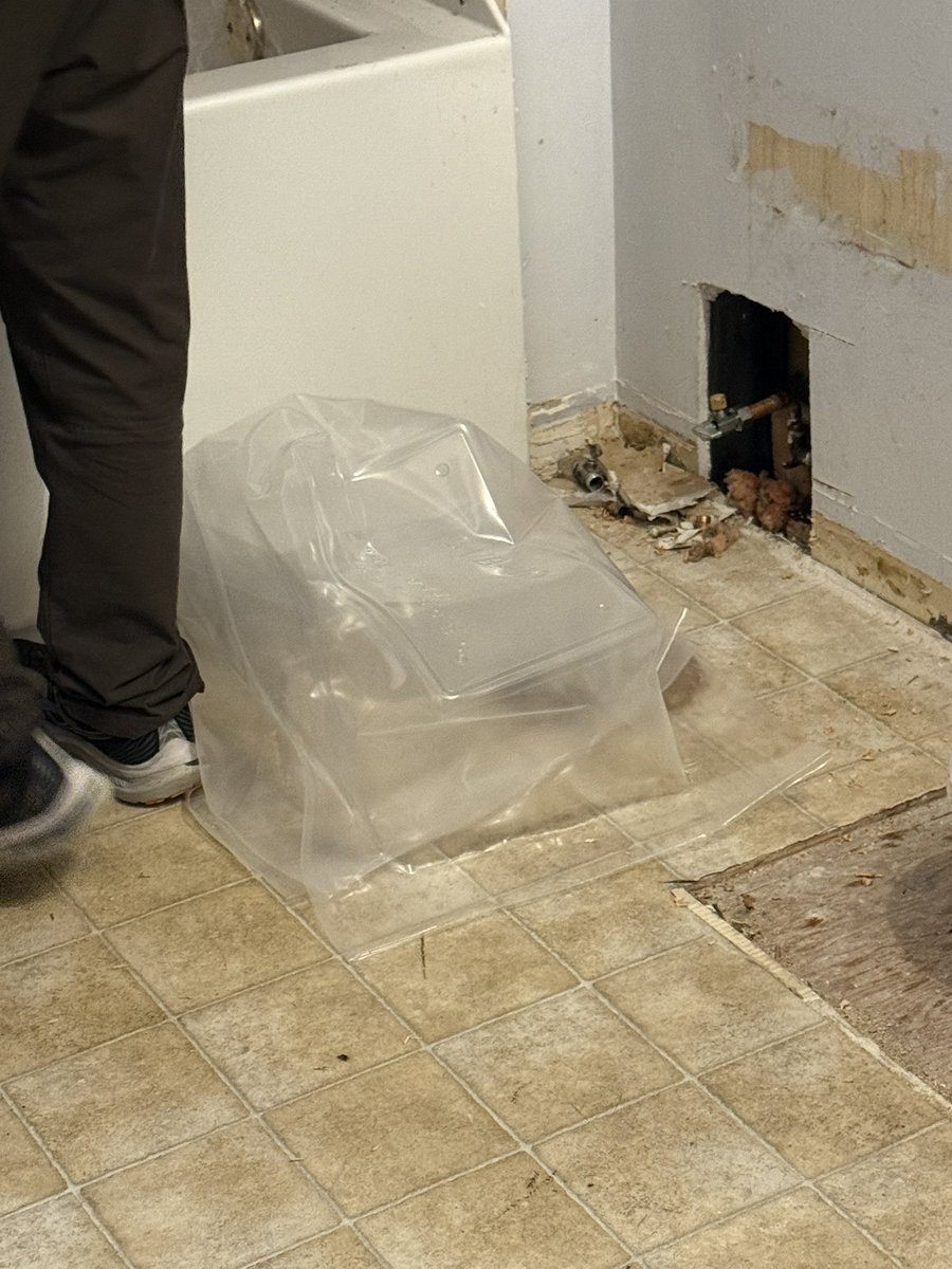 リノベ
インスペクション

ノースバンクーバーのインスペクターが
ちゃんと出来てるかチェック(約1、2分)

プラミングとエレクトリックは１日でOK

ファイヤープルーフィング
天井がすぐに屋根になるので湿気防止のため謎のビニールカバーが必要らしい

やり直し作業&amp;インスペクションで２日のびる😓