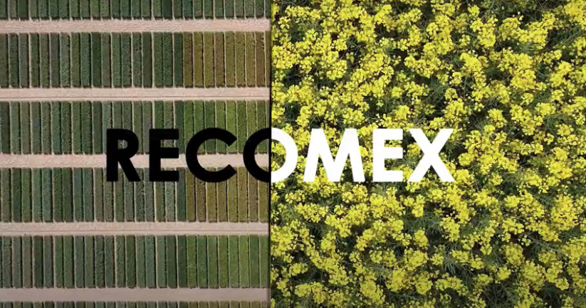 ⚠️ Falta molt poc !

📢RECOMEX: Resultats dels assaigs i innovacions en cultius extensius d'hivern

📆 05/09/2025
⏰ 09:30h - 14:30h
📍 Calaf

Programa de la jornada 👇
transferencia.irta.cat/wp-content/upl…

Inscripcions 👇
transferencia.irta.cat/activitats/rec…

T'hi esperem !