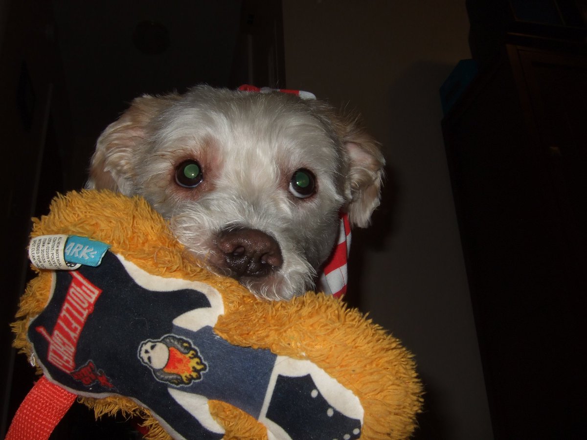 Brimley loves Mötley Chëw!