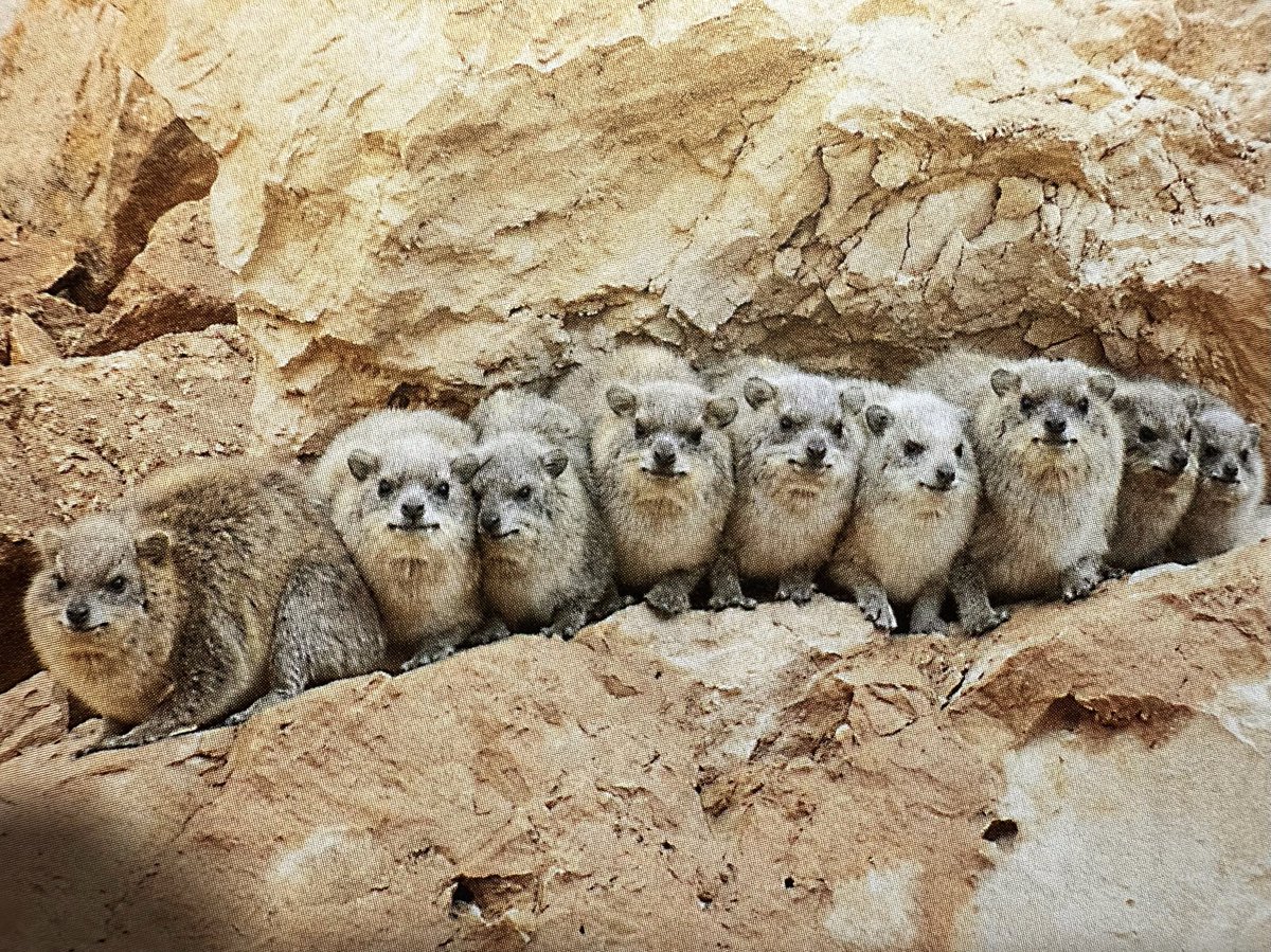 مدى الأرجاء المتسامحة

آتيات سافرة

صلات الجماعة تغريد

عنوان .. للسائلين ذوبان

#هاشم_ذياب