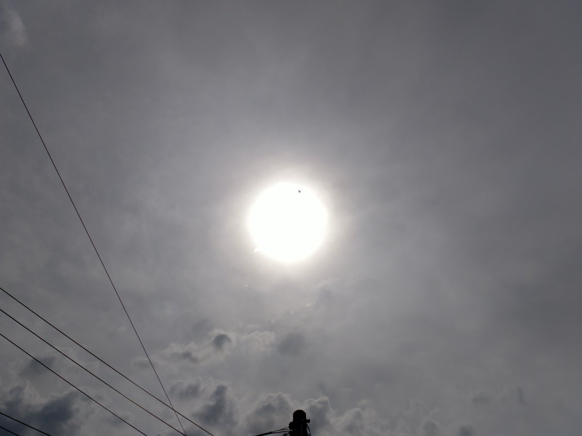 こんにちは️️️⛅️✈🌡30.7