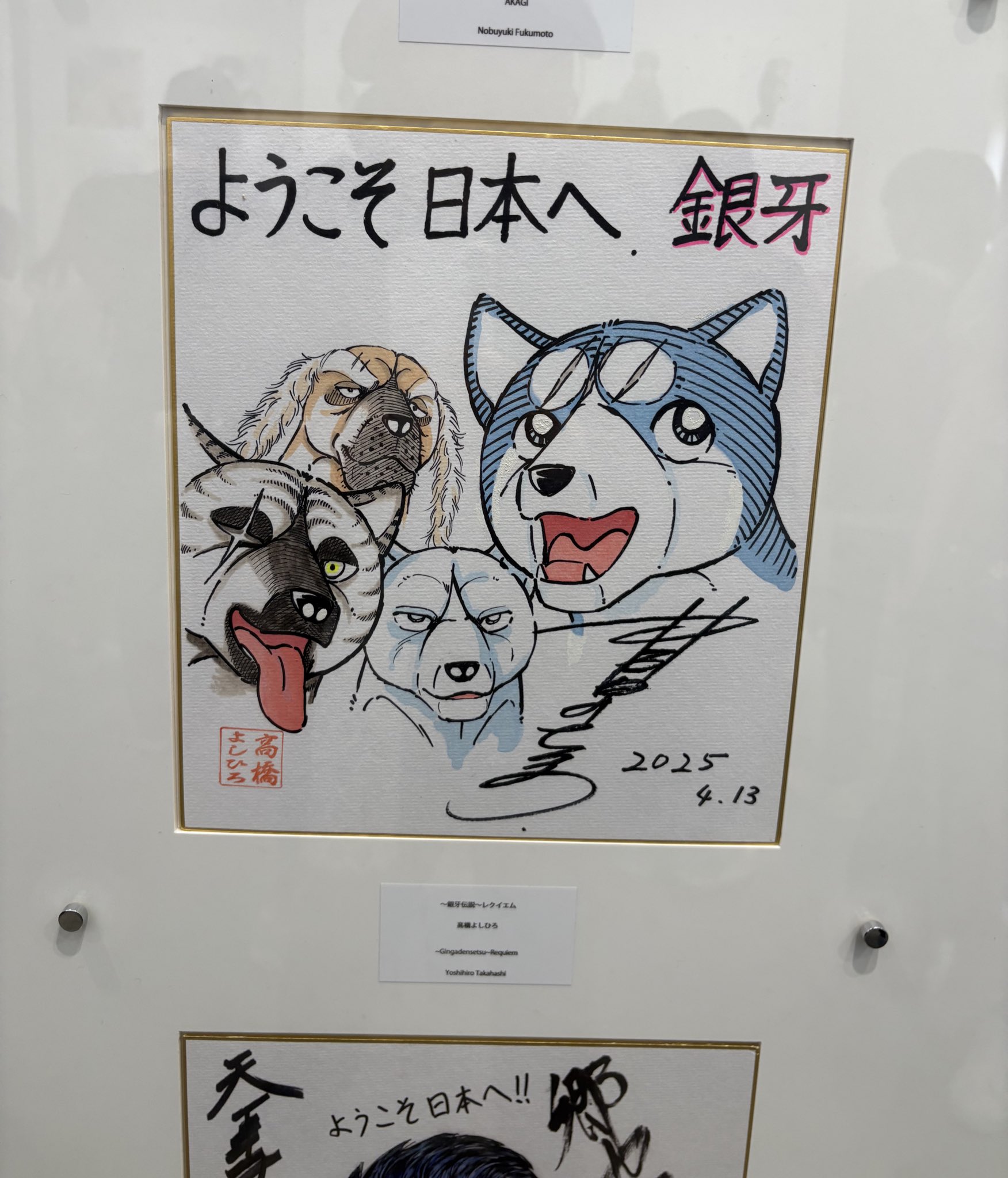 銀牙X（非公式） (@unofficialginga) / X