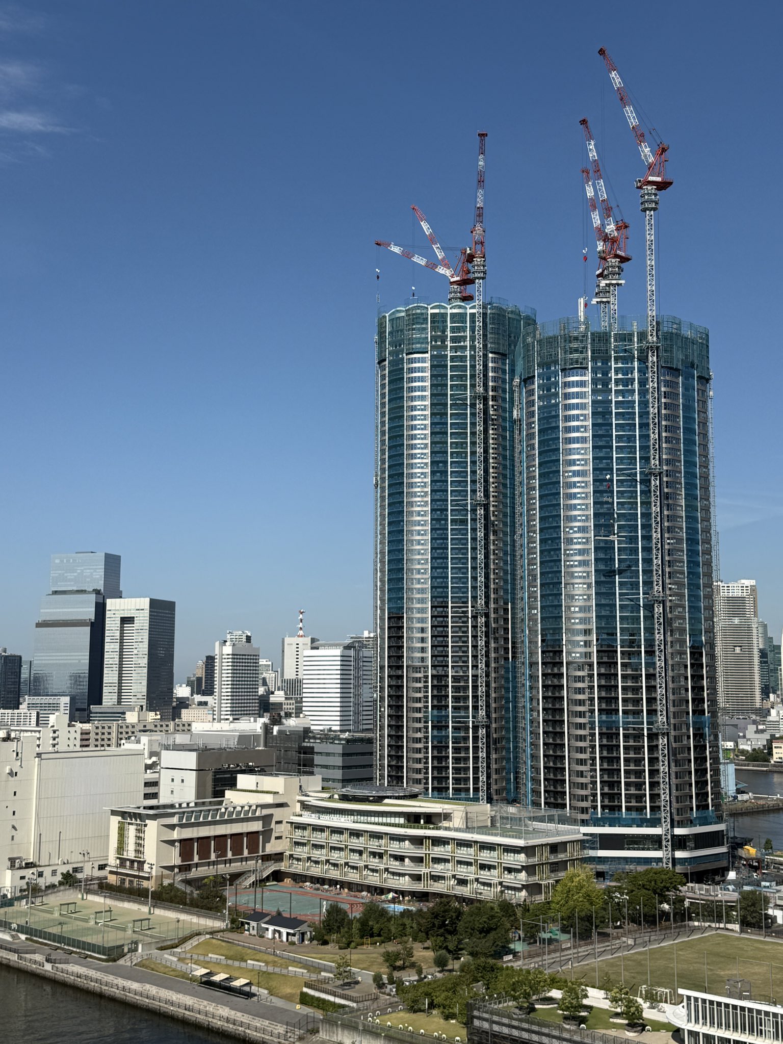 HARUMI TERRACE on X: 
