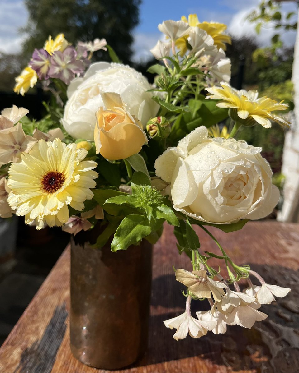 ‘Claire Austin’ and friends between the rain showers yesterday 💚 #RoseWednesday #inmygarden