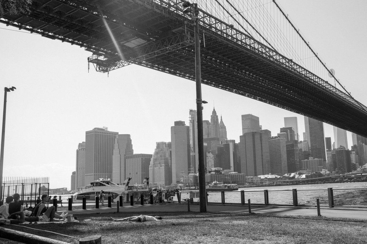 I have a light box tweet media