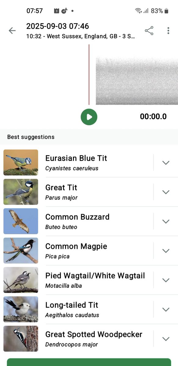 Not a good morning for detecting bird species in St Margaret's Loop/Wood, but Merlin has managed to find seven so far, despite the roaring wind and rain. Surprised to hear the Buzzard overhead in this weather. 🍃🐦‍⬛
