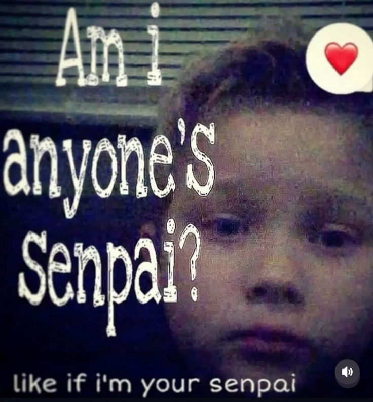 Dolly Doppel🧸🗝️【Perfruor】GRADUATED tweet media