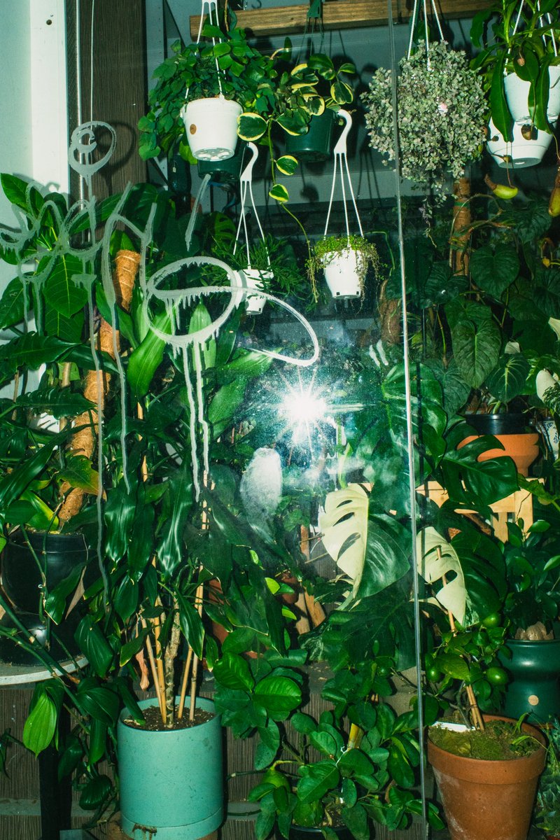 I have a light box tweet media