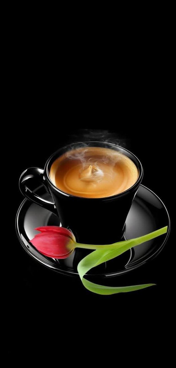 المنافقين لا يعرفون الوضوح كلما تظاهروا بالحب
 فضحتهم أفعالهم وسواد قلوبهم 🖤
#صباح_السعاده