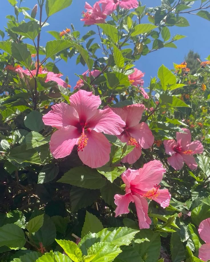 𝙉𝙖𝙩𝙖𝙡𝙞𝙖 (@2512_nata) on Twitter photo <a href="/sachiko575055/">💖sachiko2296</a> Да, разница по времени значительная.
Я всегда вам рада. Хорошего вам отдыха после работы. Большое спасибо за пожелания. <a href="/sachiko575055/">💖sachiko2296</a> Да, разница по времени значительная.
Я всегда вам рада. Хорошего вам отдыха после работы. Большое спасибо за пожелания.