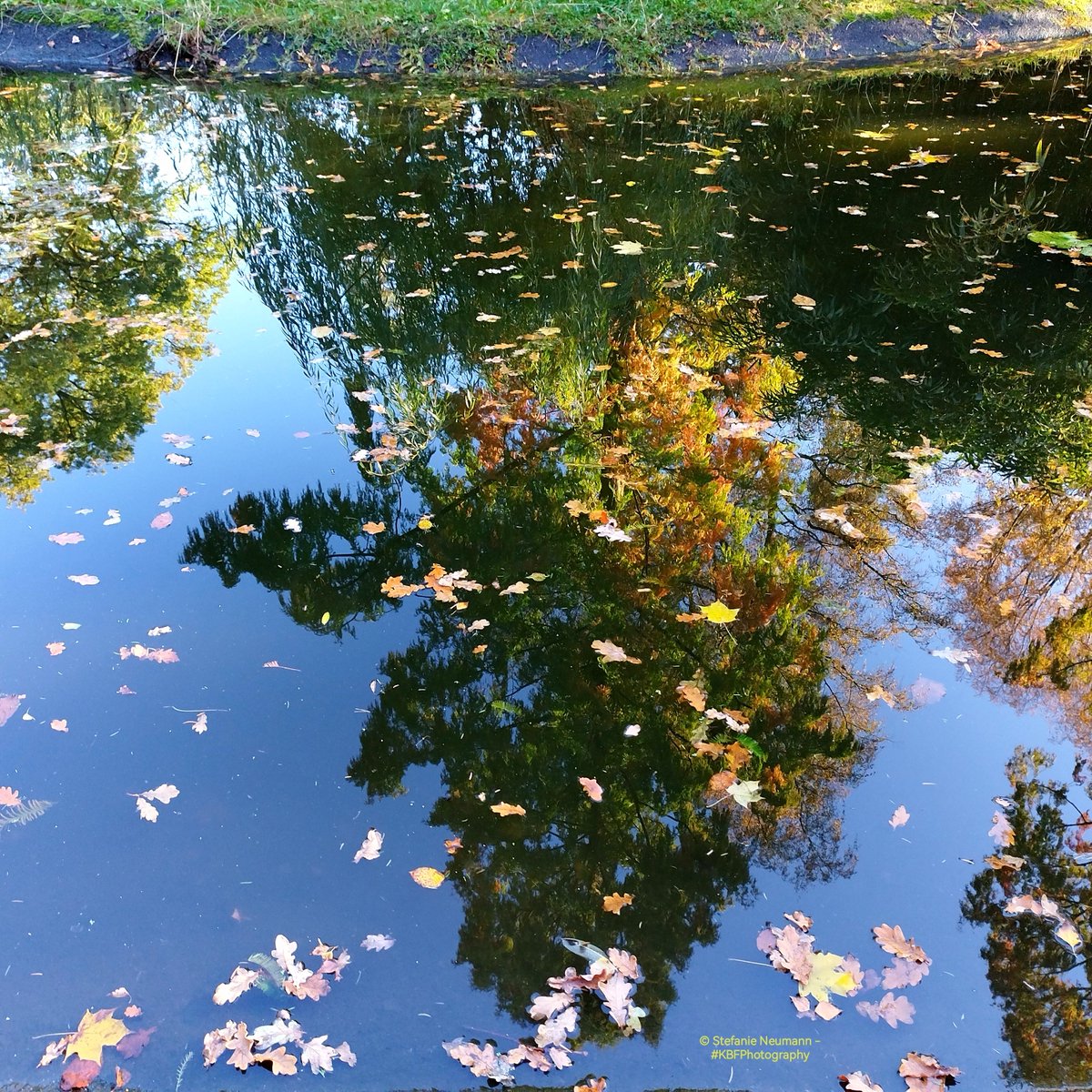 KokopelliBFree's tweet photo. @DailyPicTheme2 Crucial pond-ering
-
#DailyPictureTheme #pond
#vss365 #arbitrary
#WordedArt #crucial (indirectly)
#BlueSkyRelay #limestone (#FindThePrompt) #abode
DailyHaikuPrompt (tho no haiku) swirl / stork
#WritingCommunity #poetry #nonet
#KBFPhotography #MobilePhonePhotography #Photography https://t.co/ZgDbKmZYzx