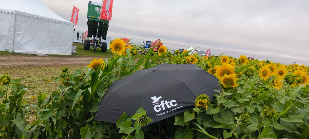 CFTC-AGRI tweet media