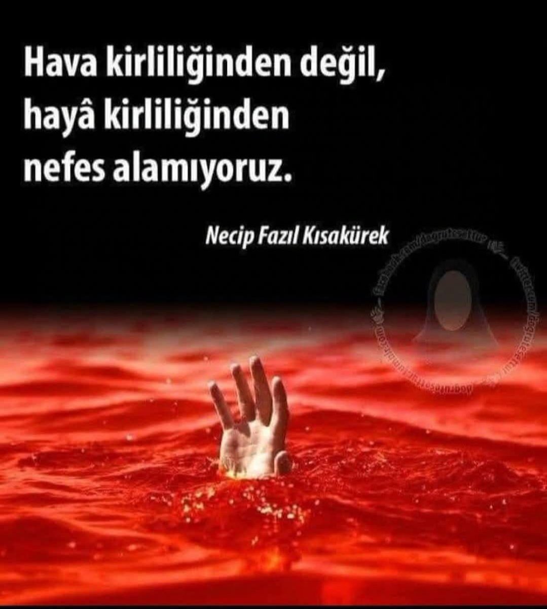 Kandiliniz ve geceniz mübarek olsun🤲