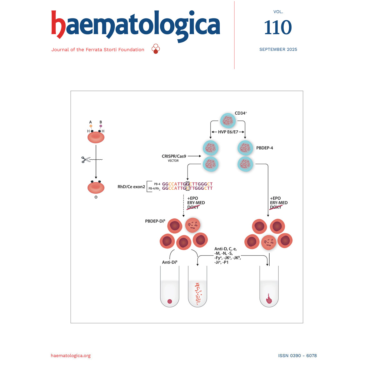 Don’t miss the new review on uncommon subtypes of BCR::ABL1-positive chronic myelogenous leukemia (CML): BCR::ABL1-positive thrombocythemia, neutrophilic BCR::ABL1-positive CML and more.
haematologica.org/article/view/1…