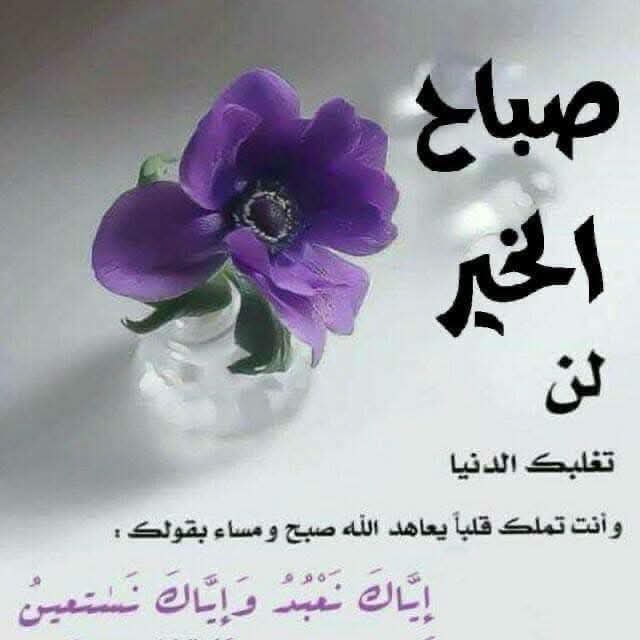 سألت الصباح عن أجمل ما فيه

قال :ذكرالله 

واشخاص  غاليين تصبح عليهم 🥰