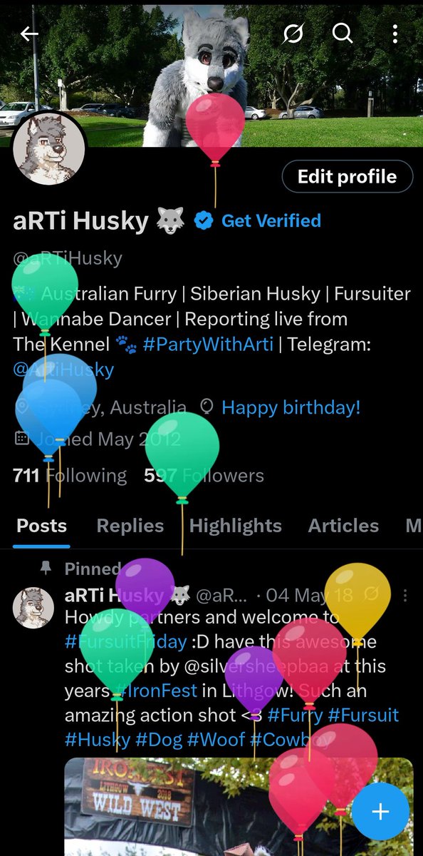 aRTi Husky 🐺 tweet media