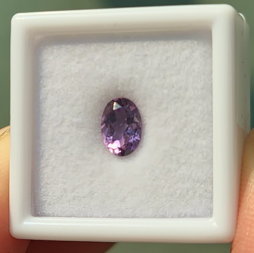 근황:
개강을 했어요