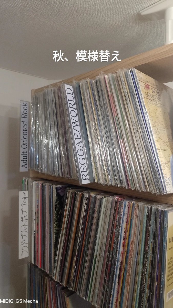 レコード各種 まとめ購入 9983サカナおまとめ商品 かなざわ 金箔しおり 縁起物 各種