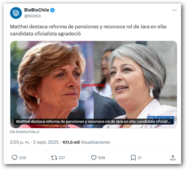 MATTHEI, de ésta no vuelves. fin.