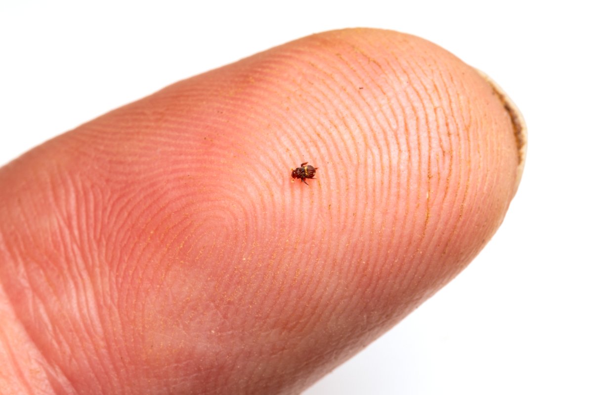 AntRoom 島田拓 tweet media