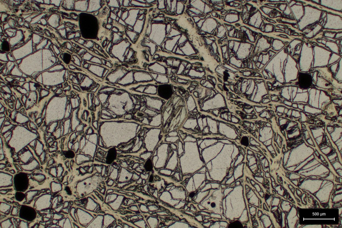 A stunning thin section of dunite from an Archean ultramafic complex, India showing beautiful olivine crystals

#geology #geoscience #rocksandminerals