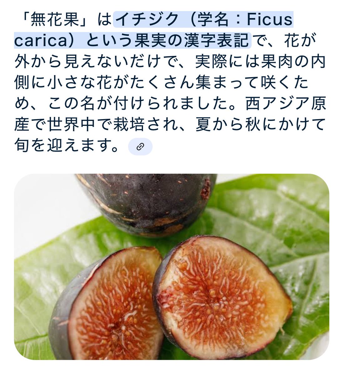 ※⚠️【注】ぎんかほ及びこずかほの妄想を多分に含みます
可惜夜花火の“無自覚”な熟れた果実とはなにか、個人的には吟子ちゃんの密かな恋心をイチジクに例えたものだと思ってます。