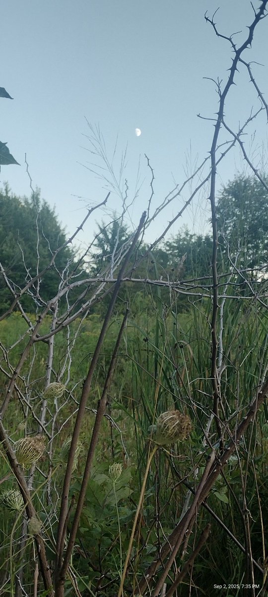 herman mechle (@hermanhmechle) on Twitter photo 