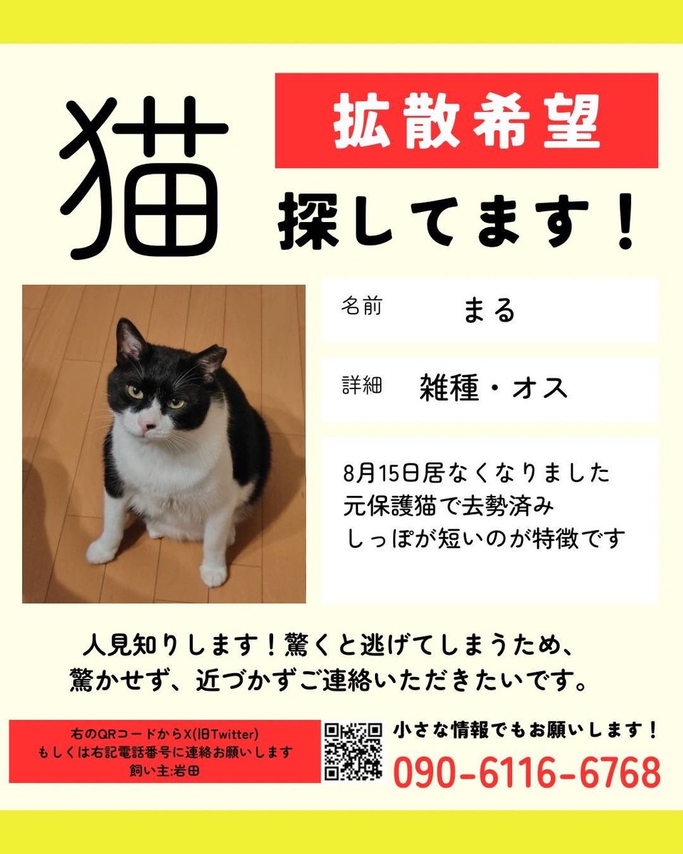 capi_shingeki's tweet photo. 知り合いの猫が行方不明になってしまいまして…
拡散して頂けると助かります🙏
よろしくお願い致します。

#拡散
#拡散希望 https://t.co/LFAJpqFPLY